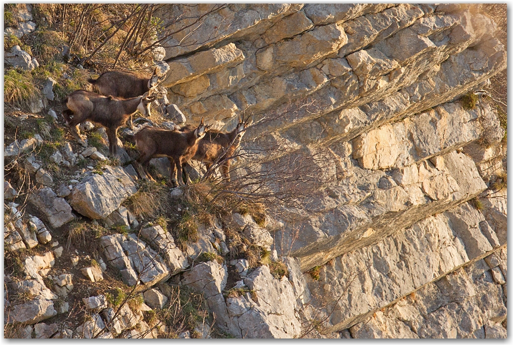 rencontre dans le Vercors