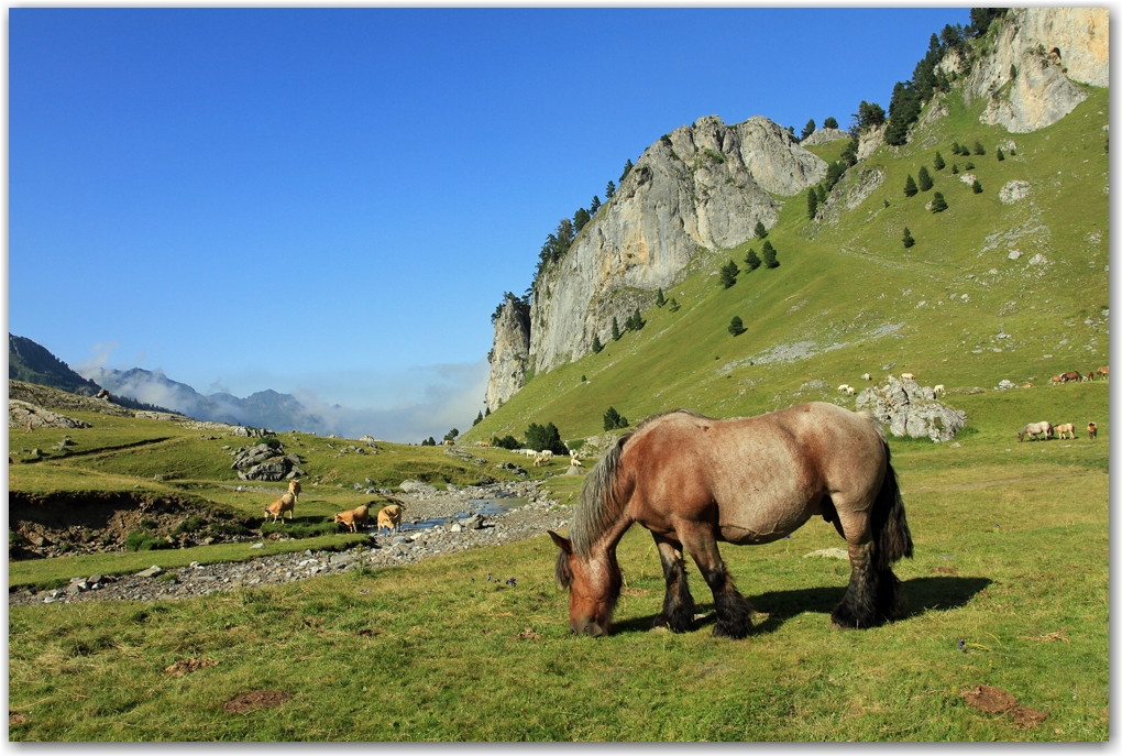 Pic du midi d'Ossau