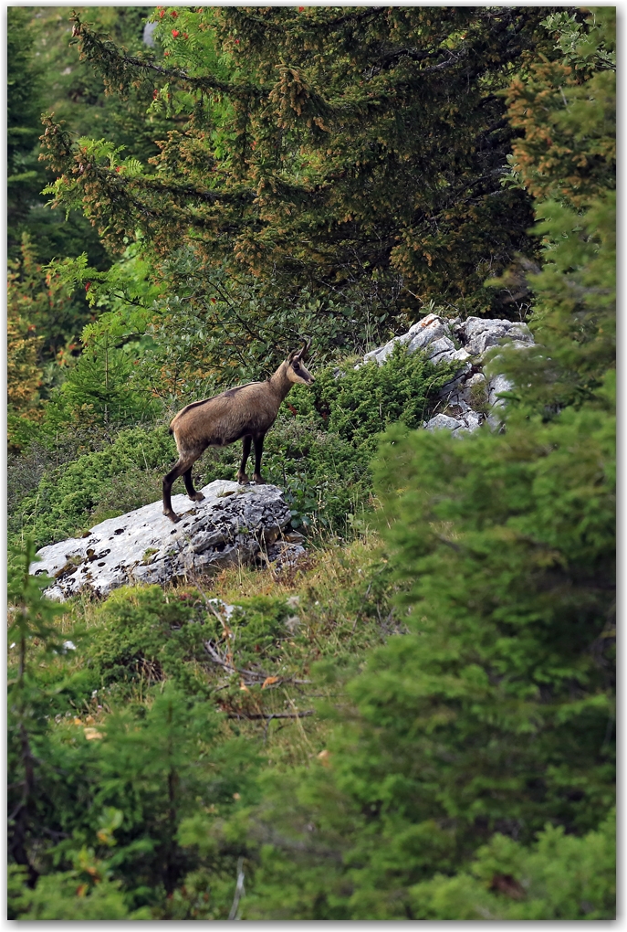 une dent de septembre