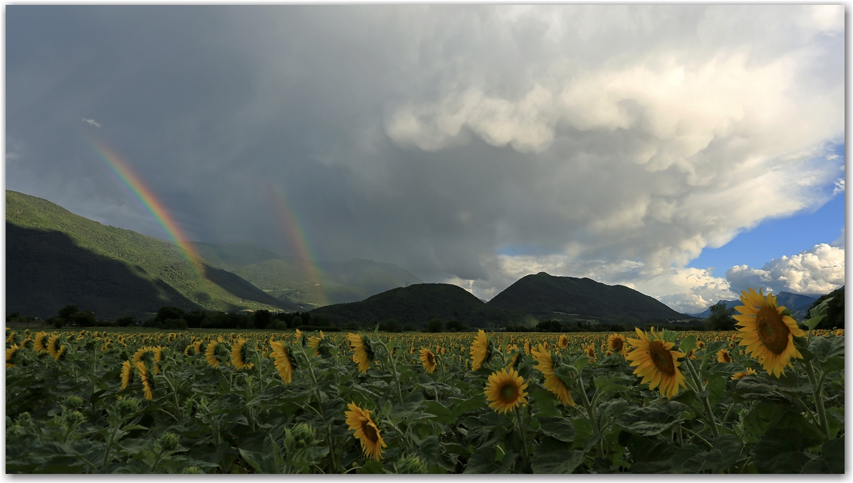 orage de juin