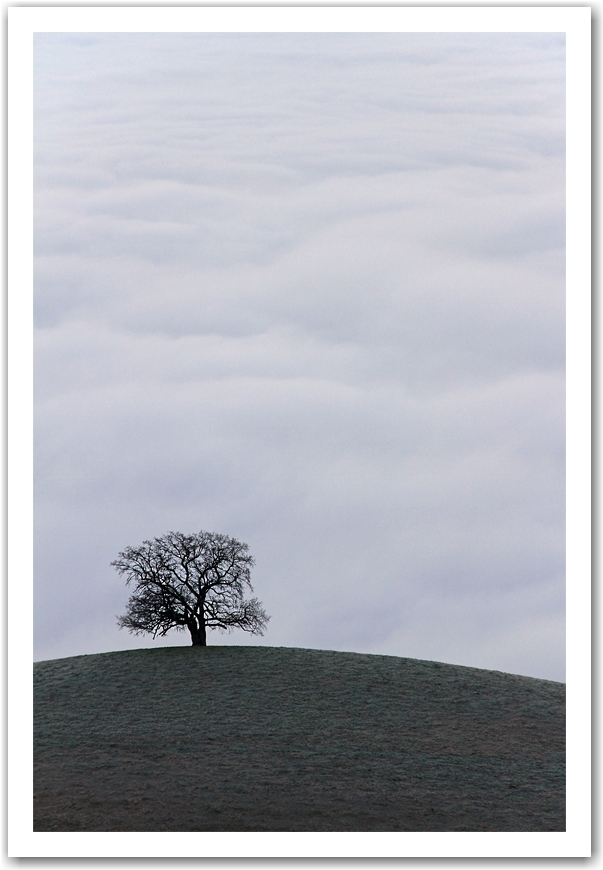 brouillard en vallée