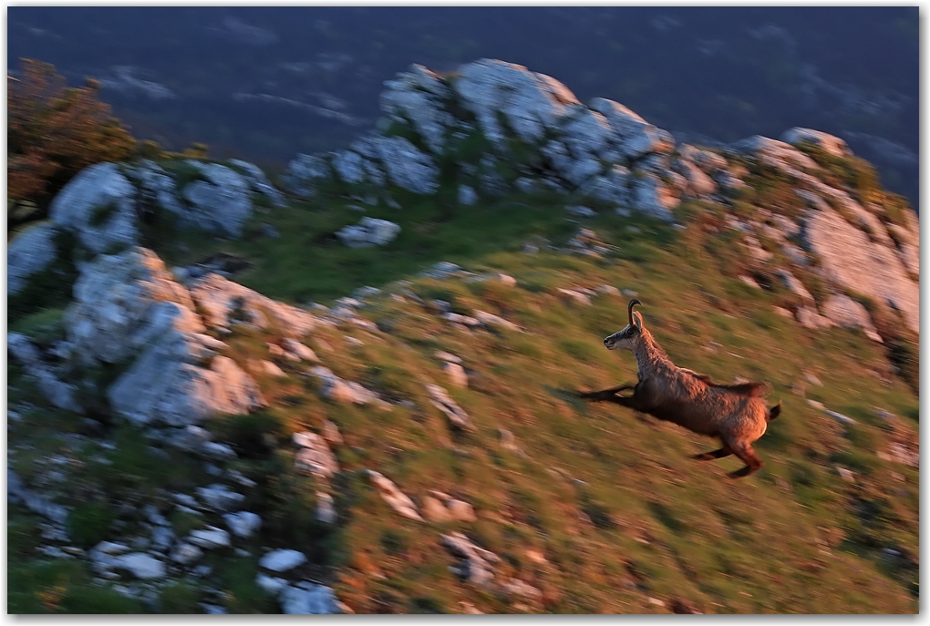 les rencontres du soir dans le Vercors