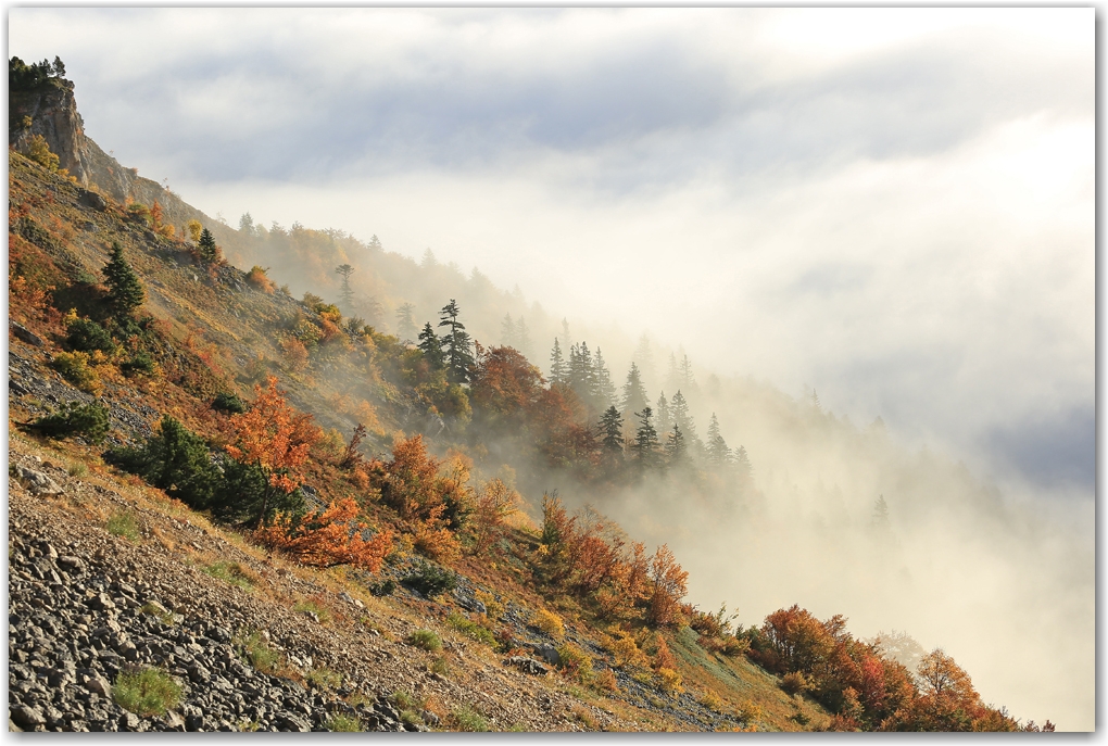 l'automne est arrivé