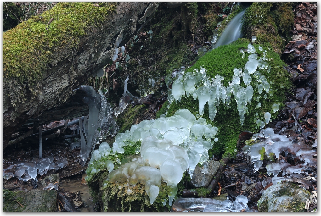 glace à la chartreuse