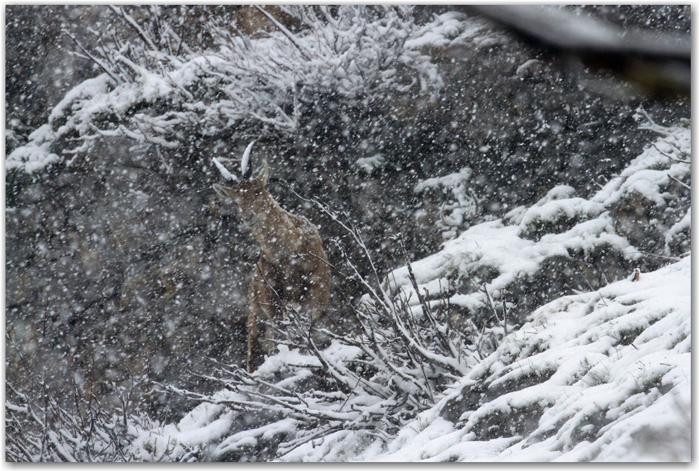 le retour de l'hiver