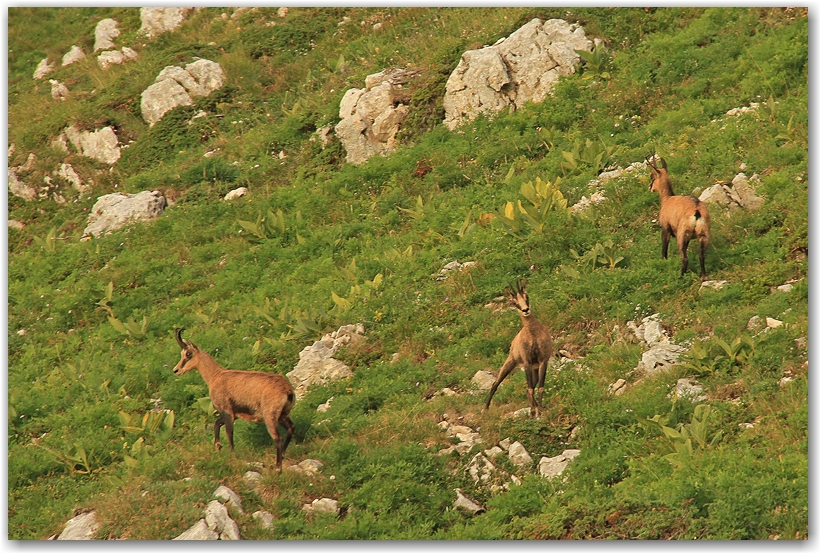 Belledonne et Vercors