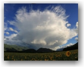 Cumulonimbus