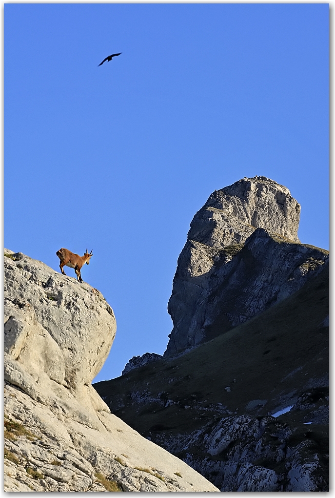 les rencontres du soir dans le Vercors