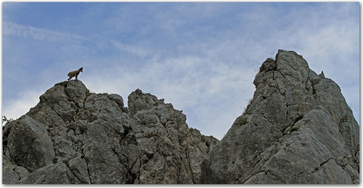 le Vercors et ses rencontres