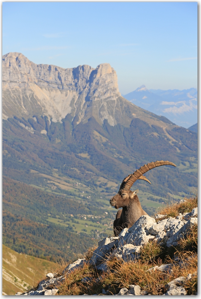 l'automne en Vercors