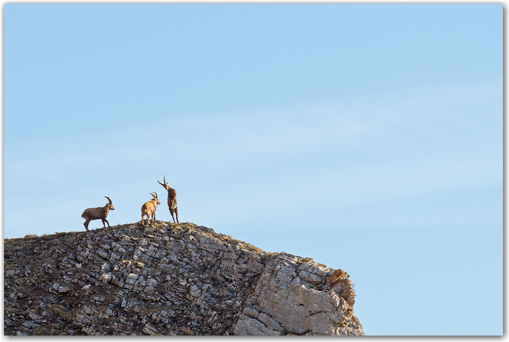 rencontre dans le Vercors