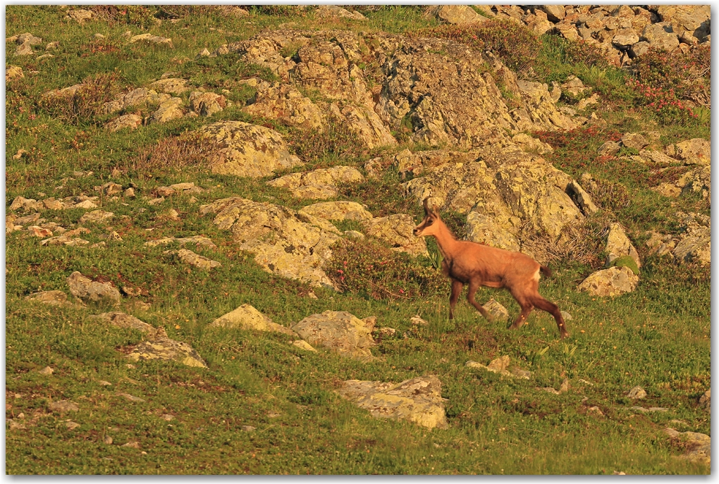 couleurs du soir sur Belledonne