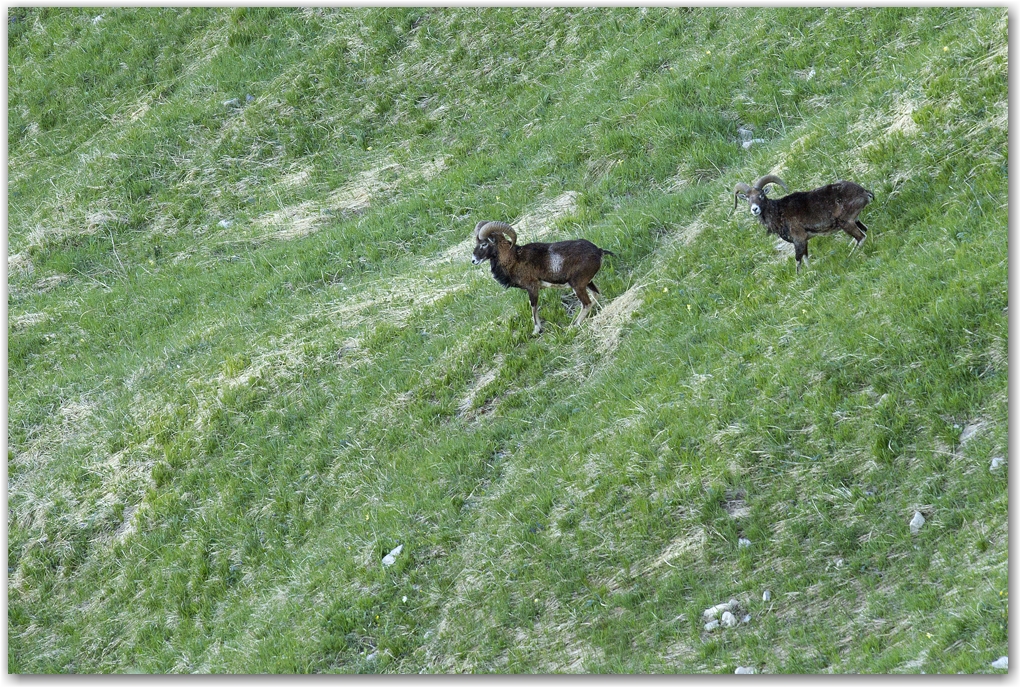 le Vercors et ses habitants