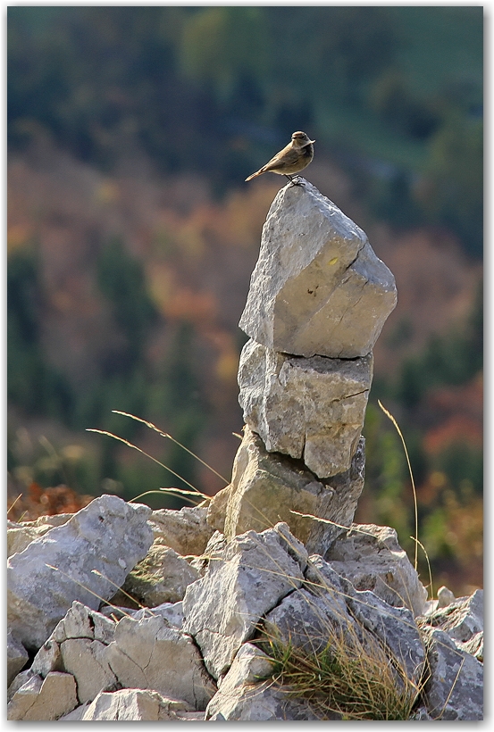 sous les falaises du Vercors