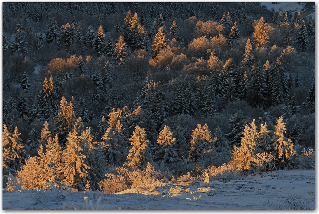 l'hiver au printemps