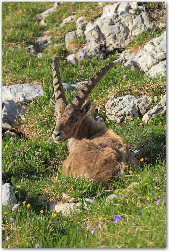 un bivouac raté