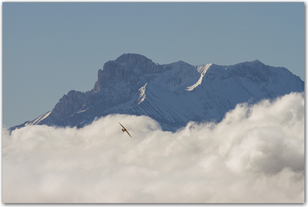 neige de printemps dans le Vercors