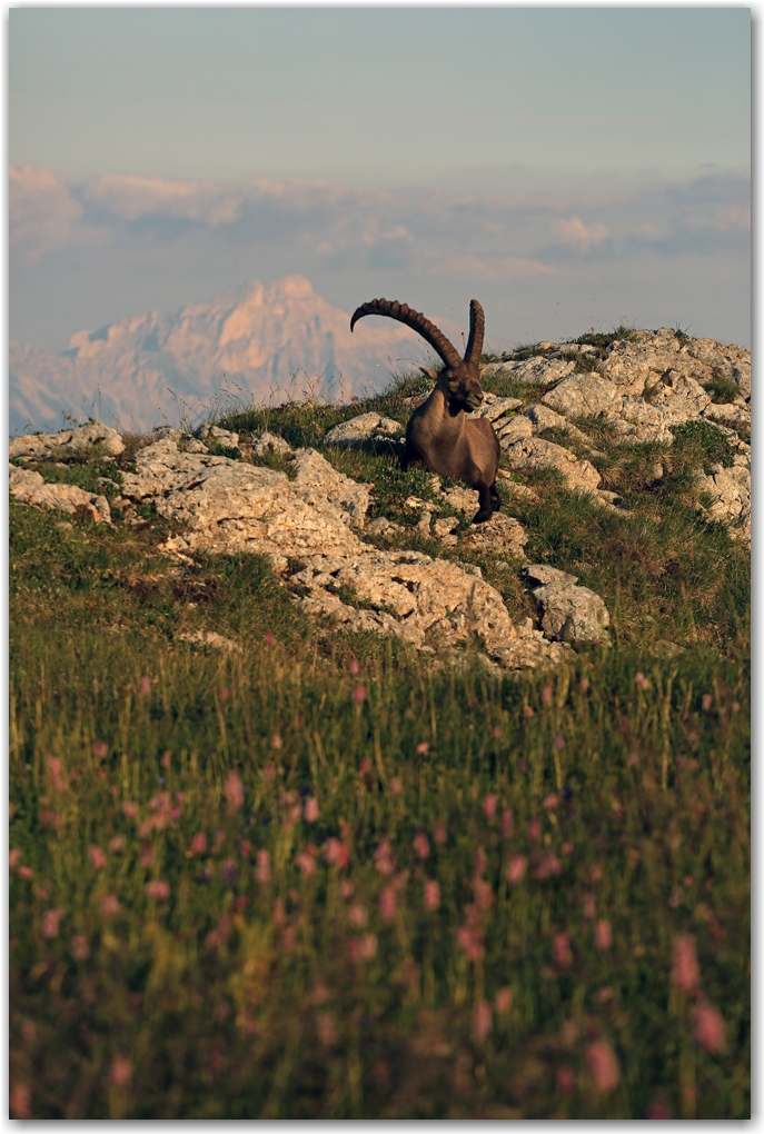 rencontres estivales