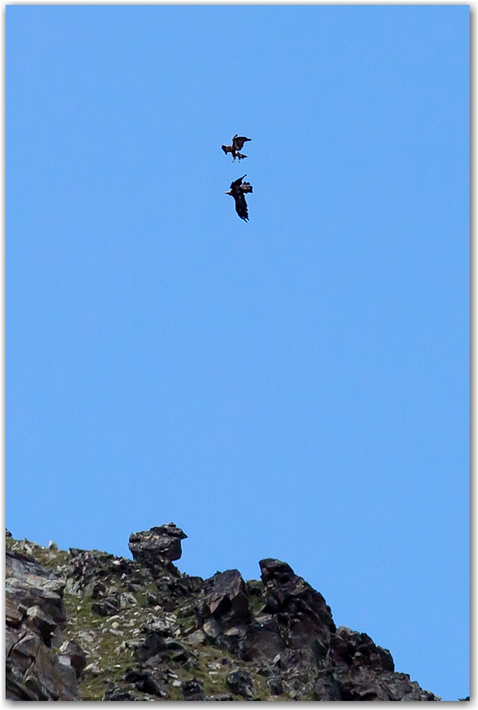 Gran Paradiso