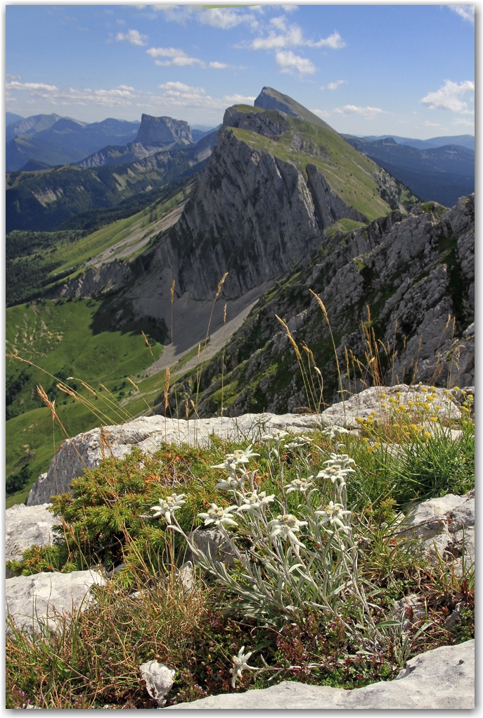 Le Vercors et ses crêtes