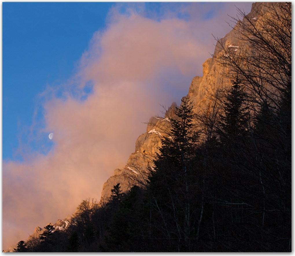 la faune du Vercors