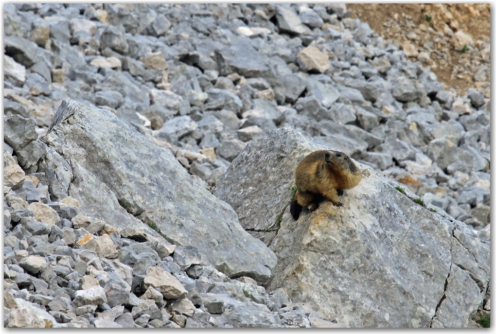 le Vercors et ses rencontres