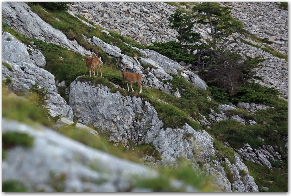 une dent de septembre