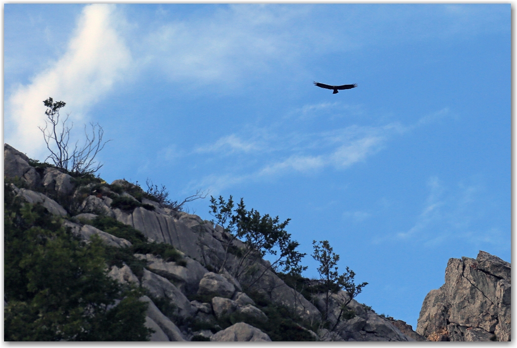 rencontres estivales