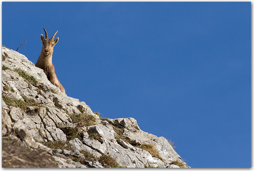 rencontre dans le Vercors