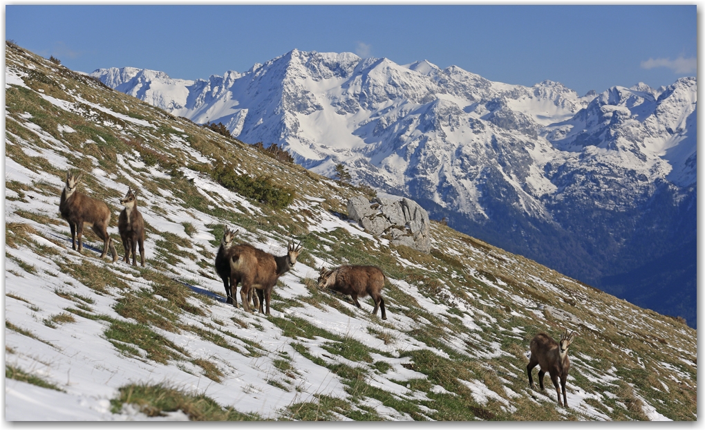 Une Dent de Crolles hivernale au printemps