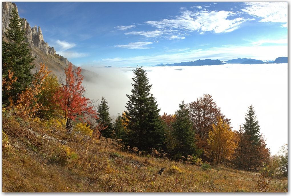 l'automne est arrivé