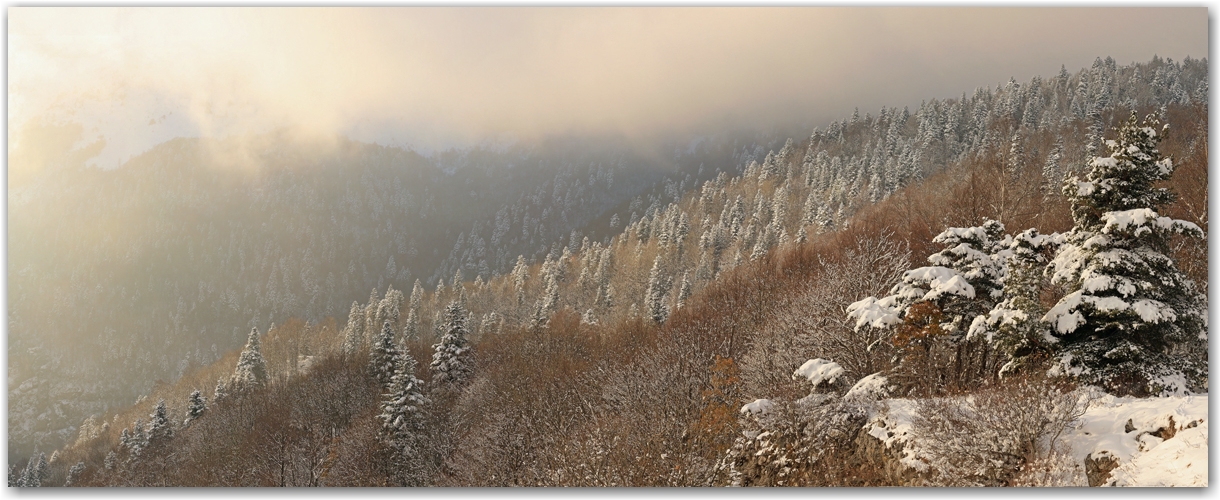 l'automne en Vercors