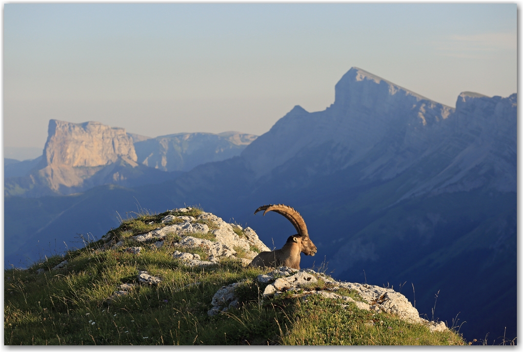 rencontres estivales