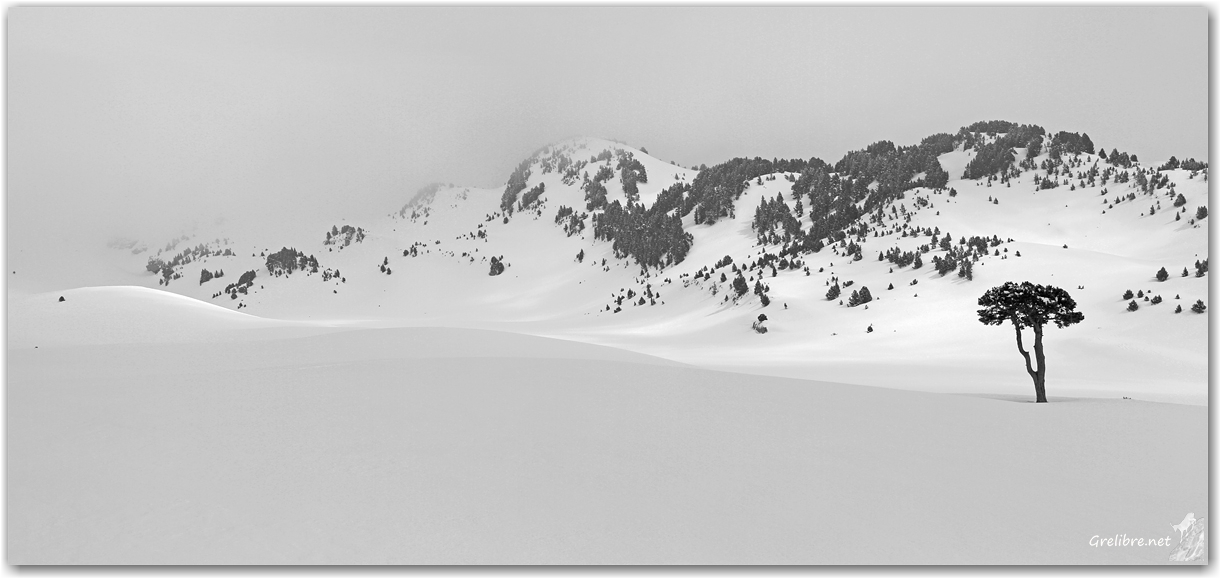 Hauts Plateaux du Vercors