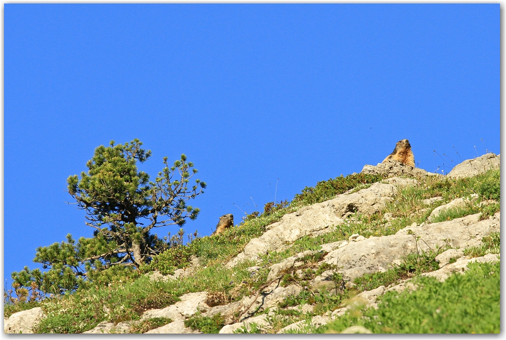 le Vercors et ses rencontres