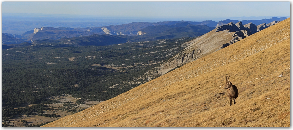 le Grand Veymont