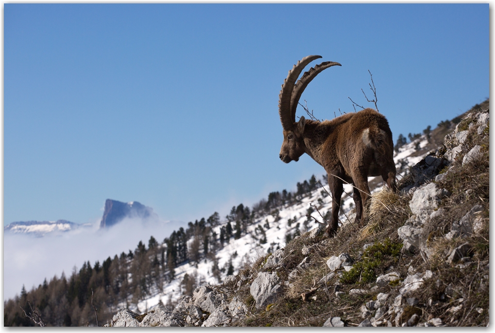 neige de printemps dans le Vercors