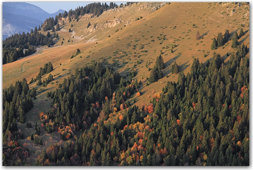 un midi d'automne en Chartreuse