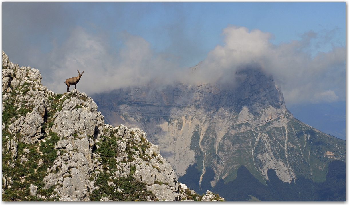 les pyrénées