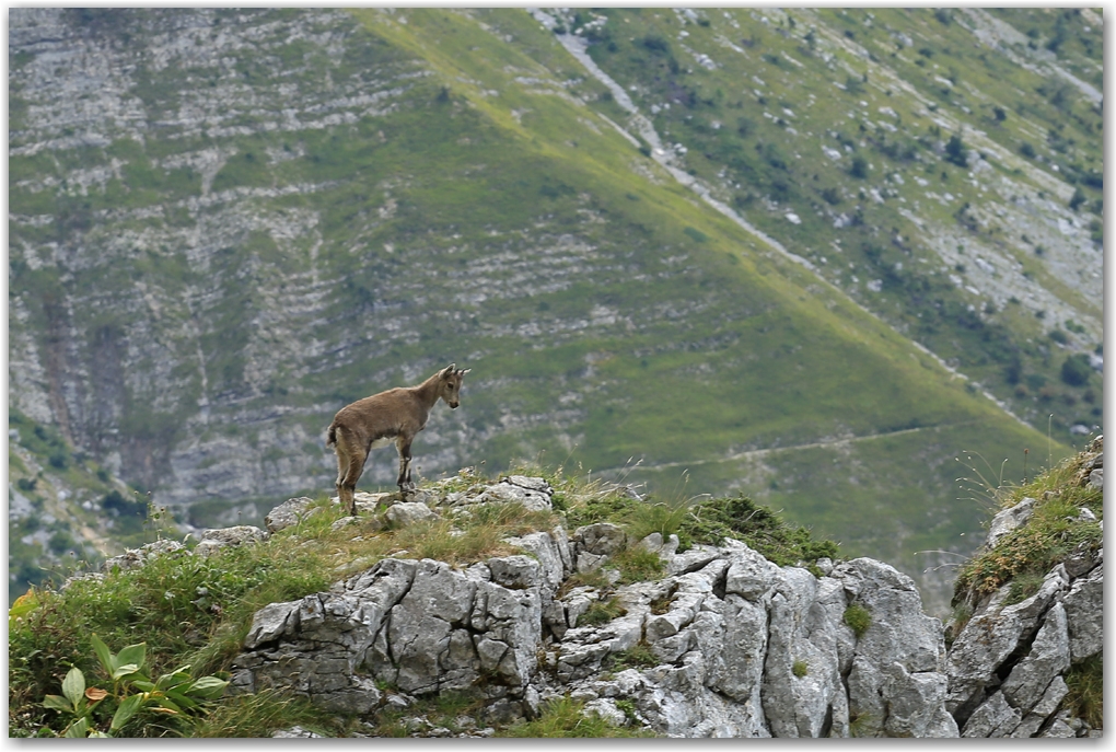 rencontres estivales
