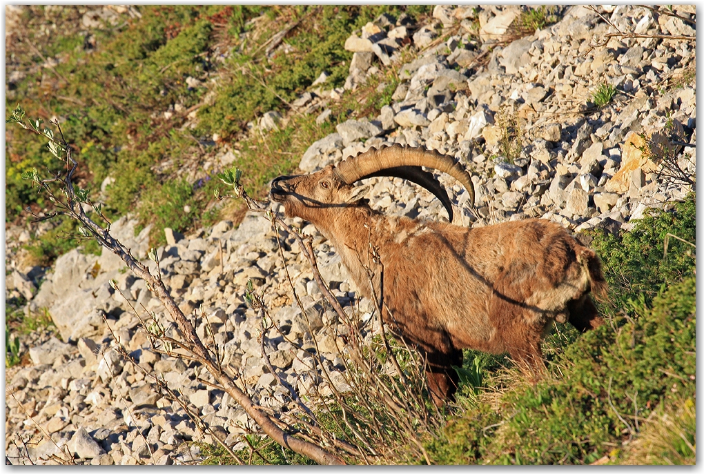 le Vercors et ses habitants