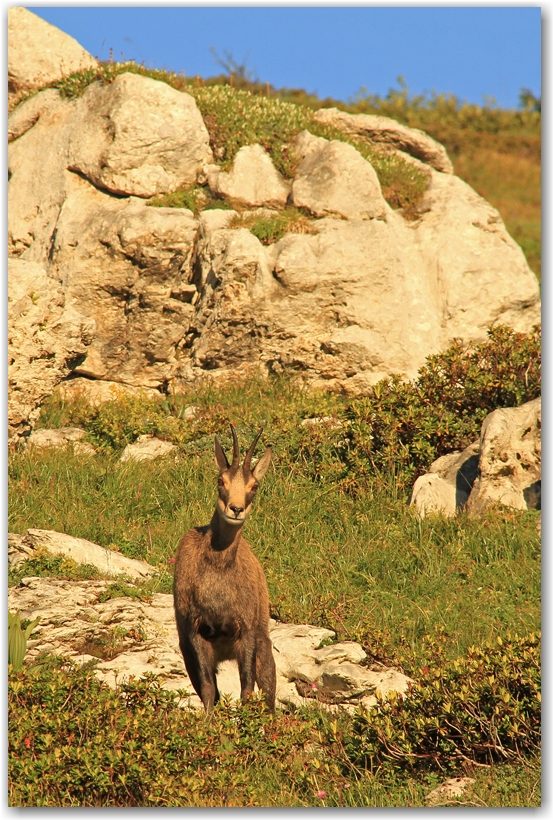 Belle ambiance à la Dent de Crolles