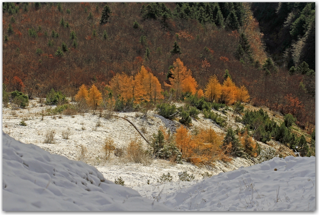 contraste automne hiver...