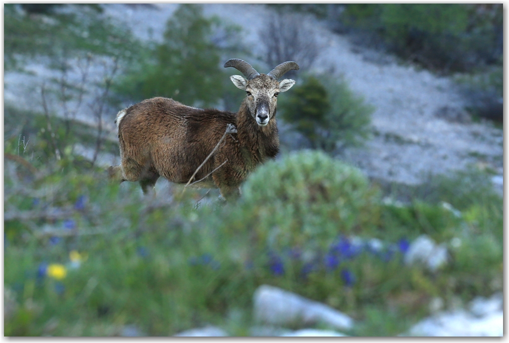 les rencontres du soir dans le Vercors