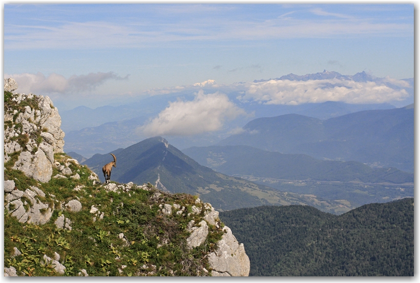 les pyrénées