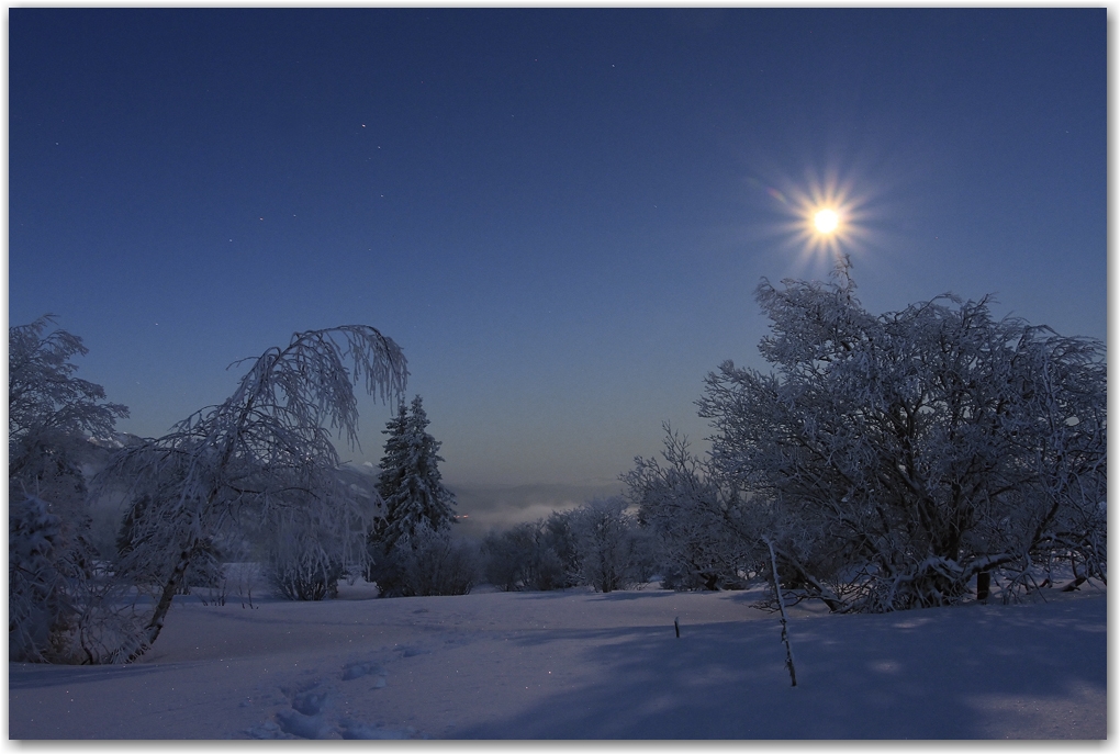 l'hiver au printemps