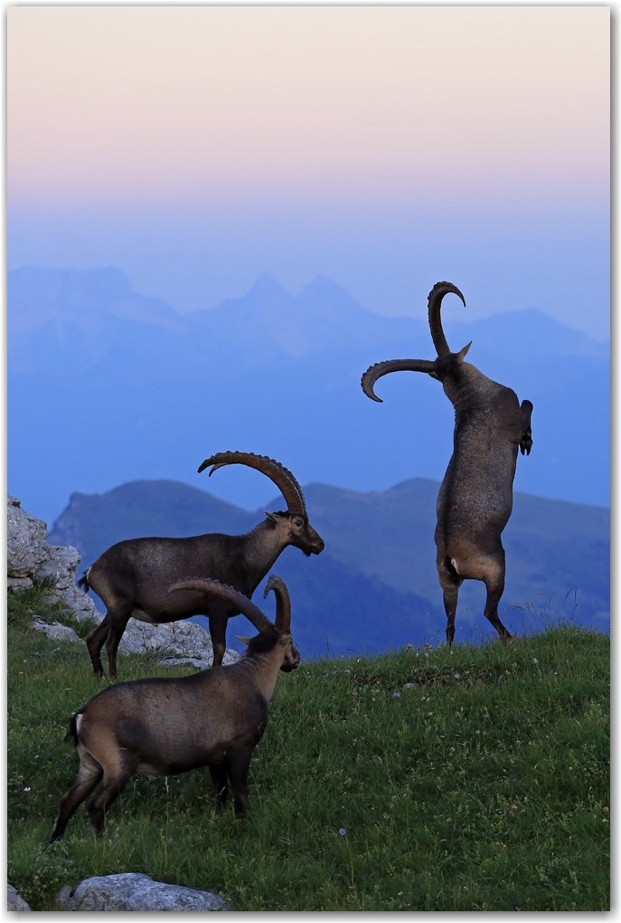 rencontres estivales