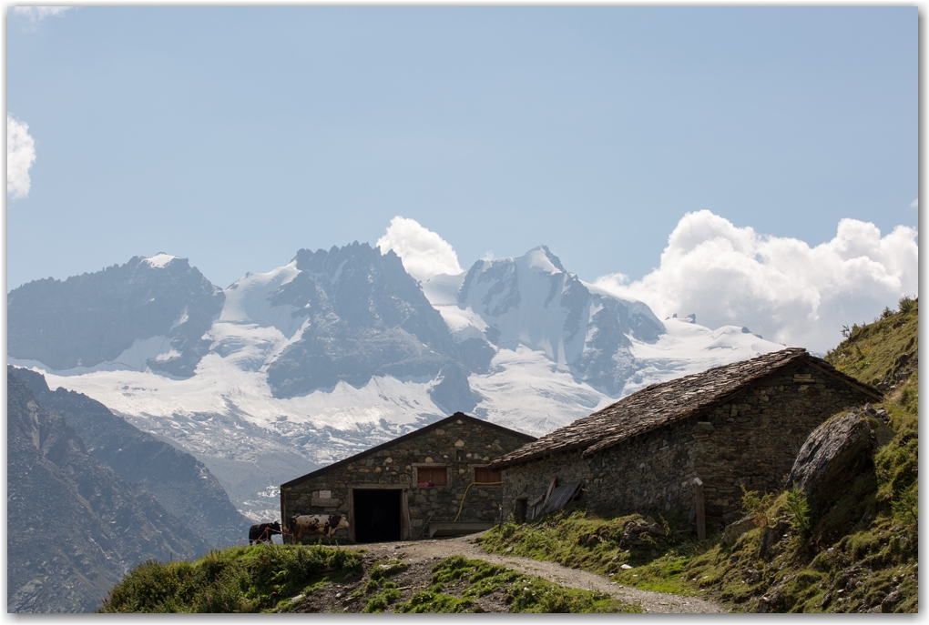 Gran Paradiso