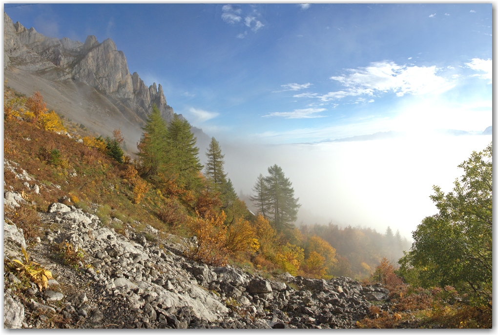 l'automne est arrivé