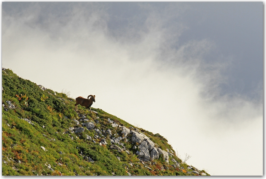 l'automne en Vercors